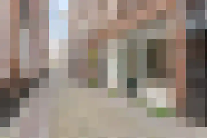 Hoogstraat 24 Alkmaar thumbnail 6