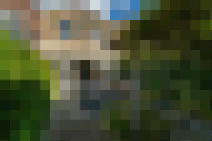 Hoogstraat 24 Woudrichem thumbnail 25