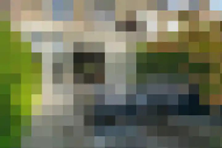 Hoogstraat 24 Woudrichem thumbnail 26