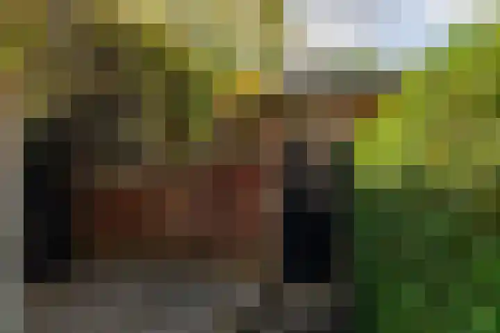 Hoogstraat 24 Woudrichem thumbnail 29