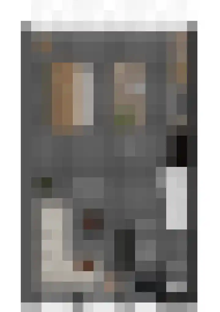 Hoogstraat 24 Woudrichem thumbnail 33