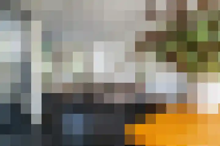 Hoogstraat 24 Woudrichem thumbnail 8