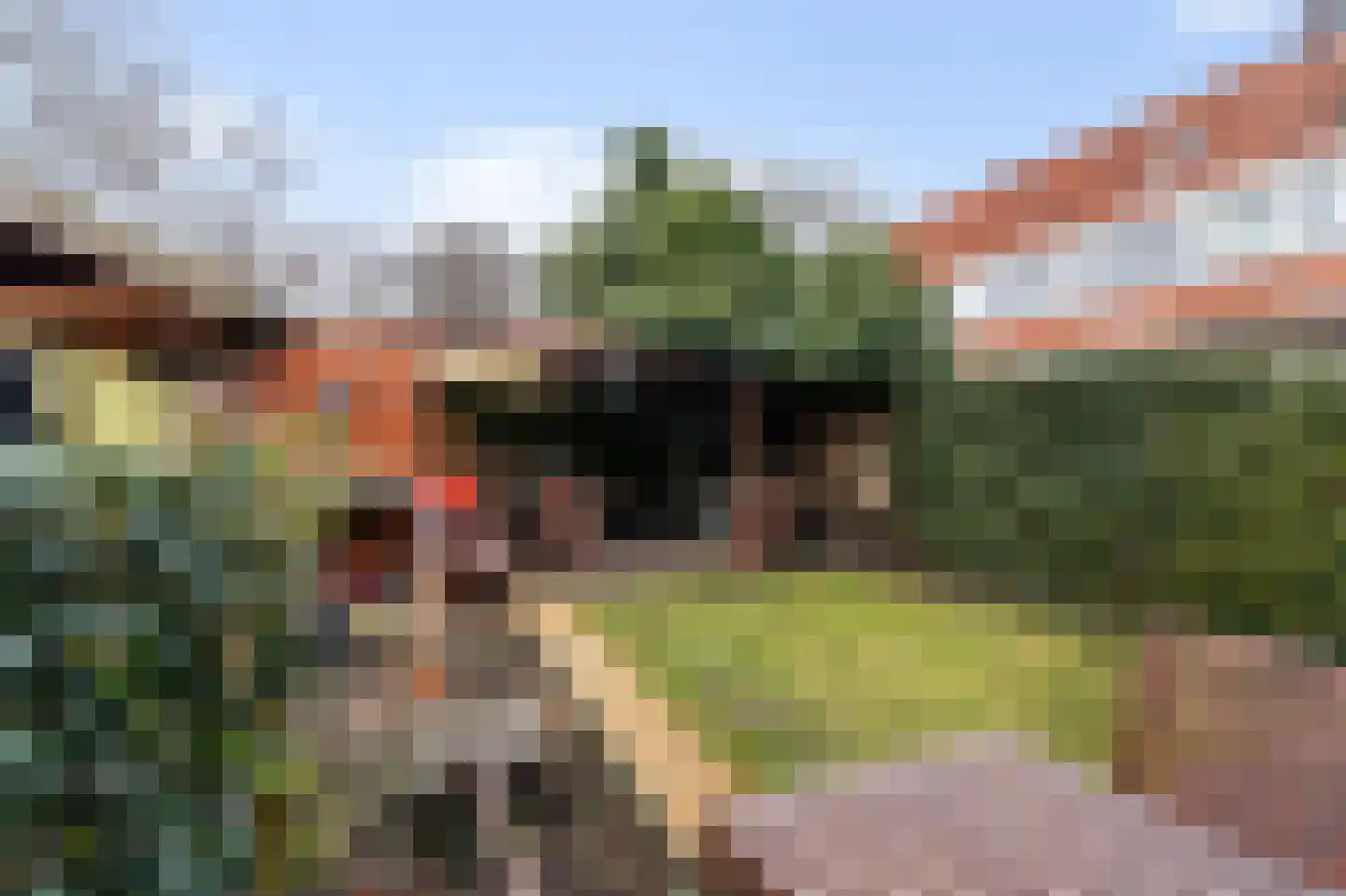 Hoogstraat 25 Hilversum thumbnail 12