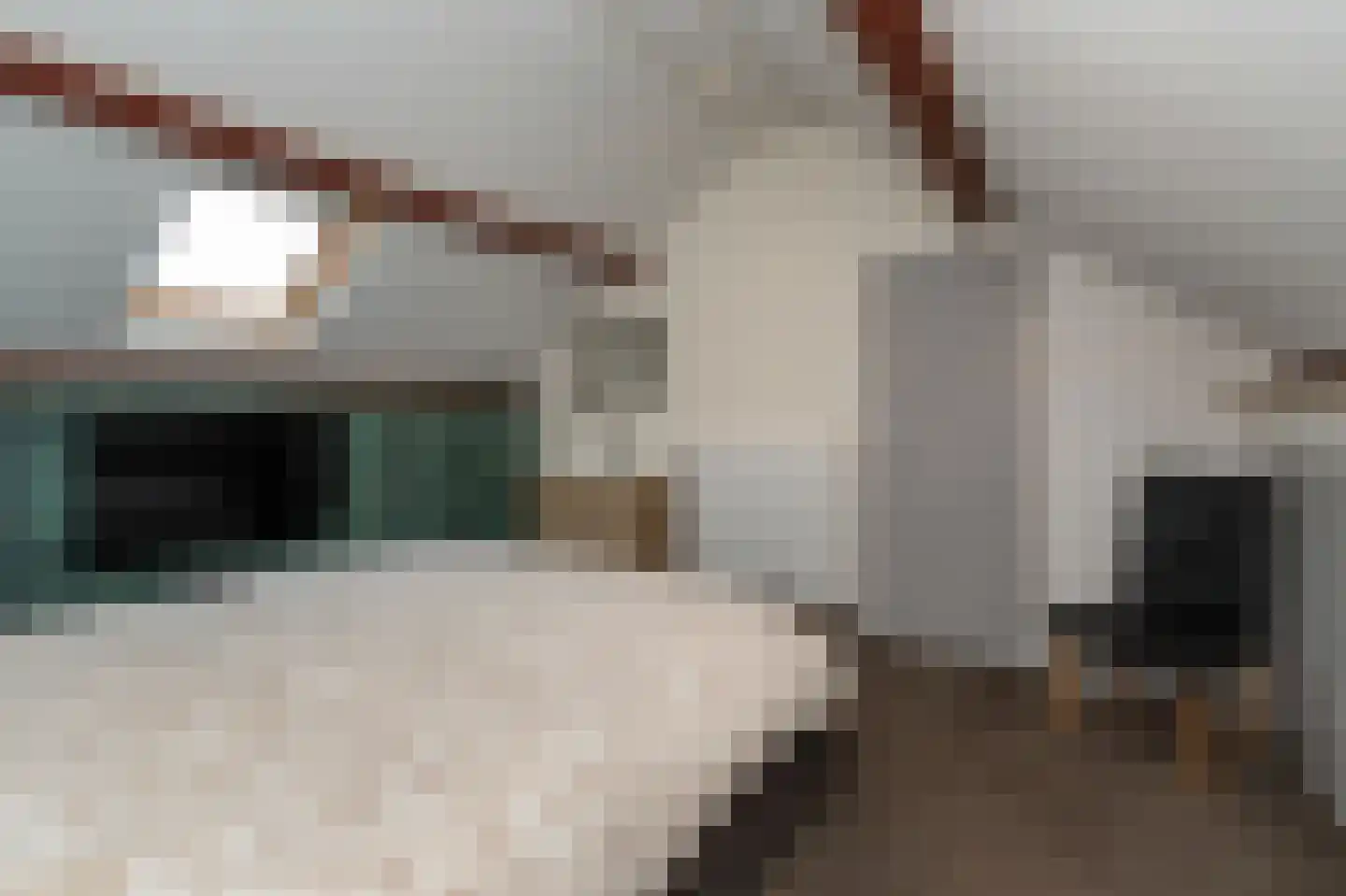 Hoogstraat 25 Hilversum thumbnail 16