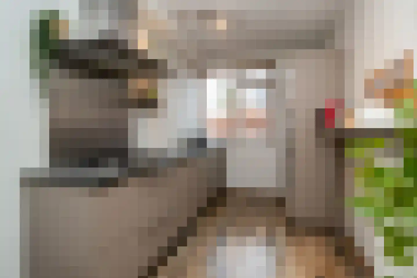 Hoogstraat 25 Hilversum thumbnail 9