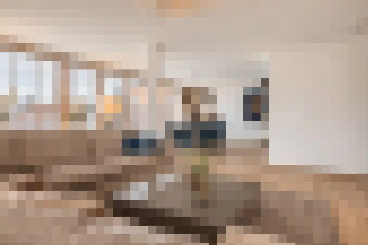 Hoogstraat 257 Eindhoven thumbnail 12