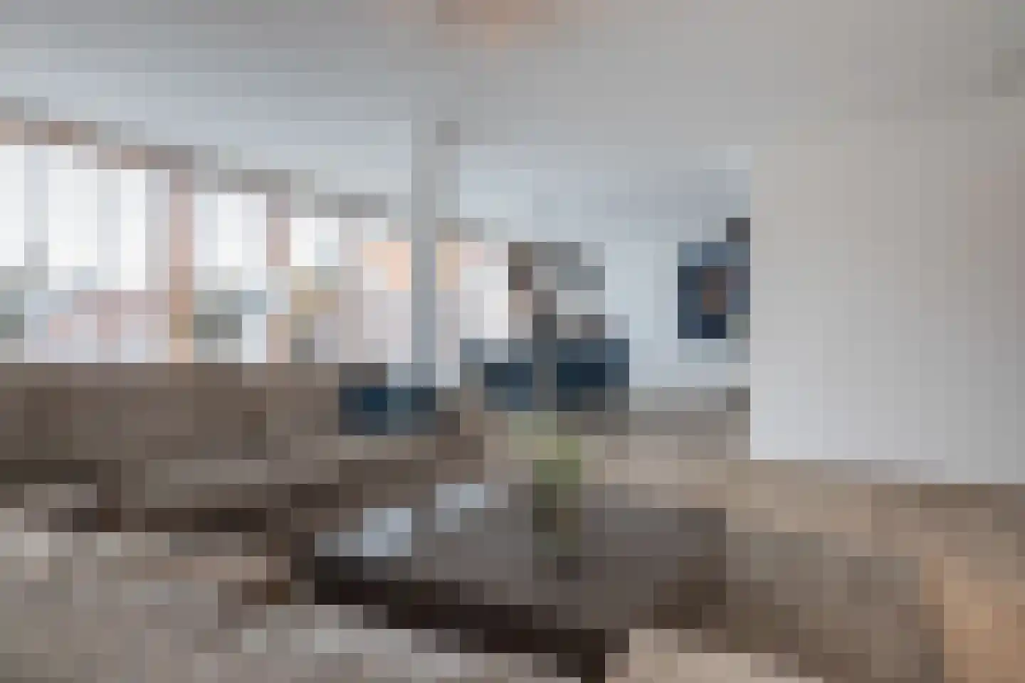 Hoogstraat 257 Eindhoven thumbnail 13