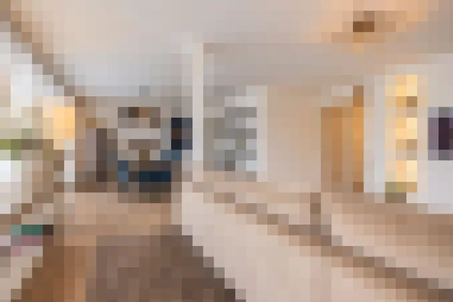 Hoogstraat 257 Eindhoven thumbnail 14