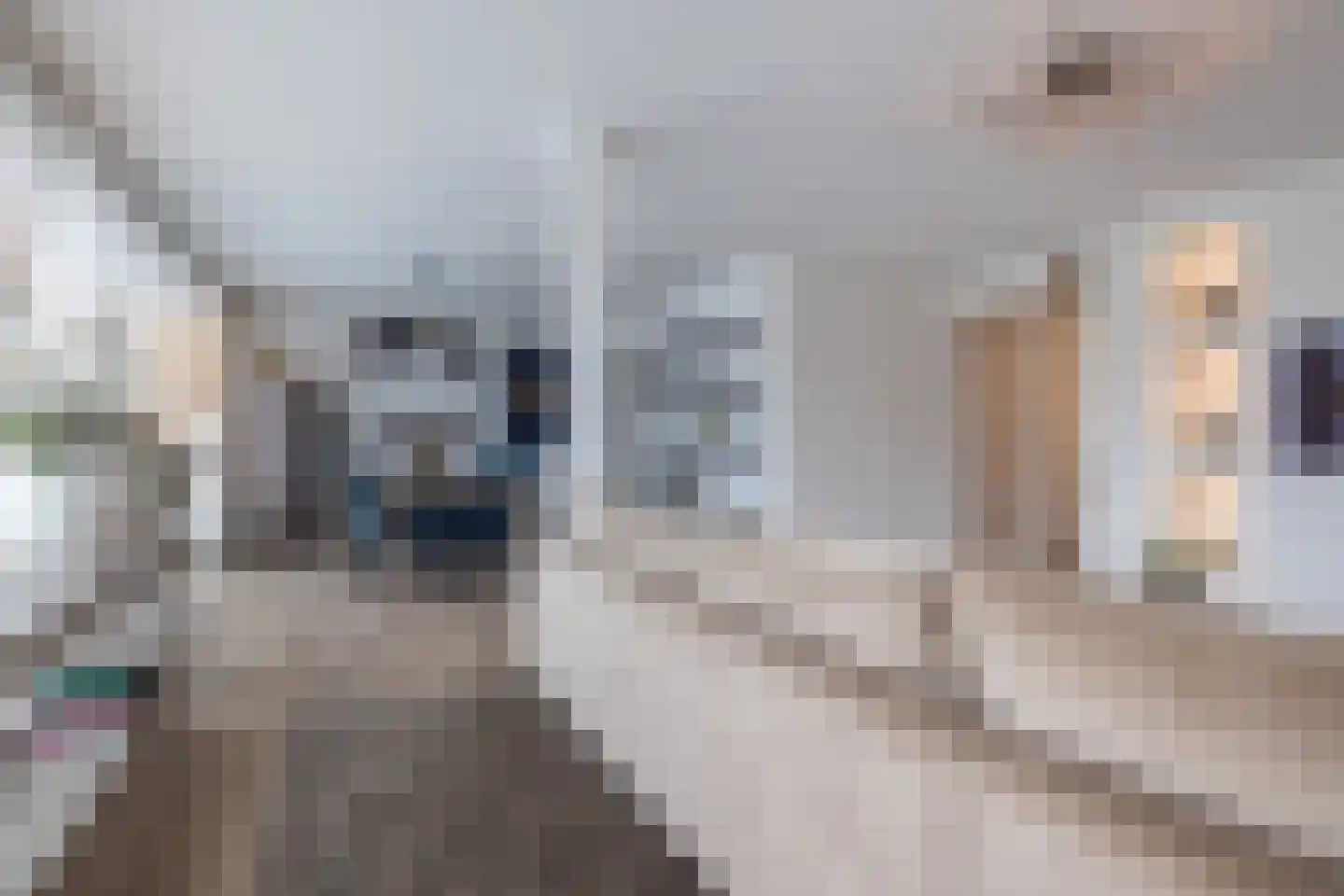 Hoogstraat 257 Eindhoven thumbnail 15