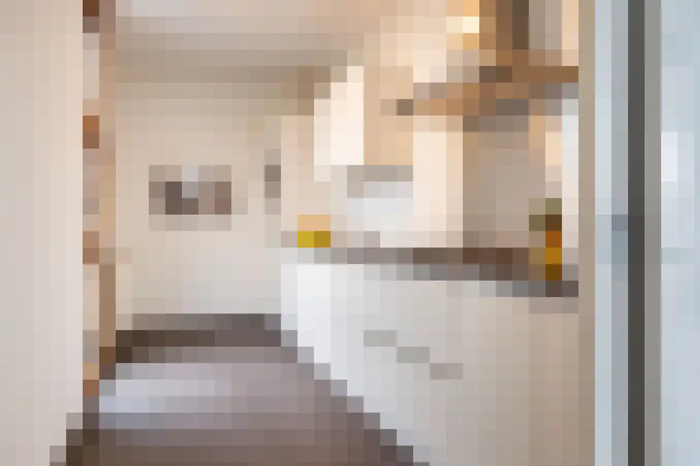 Hoogstraat 257 Eindhoven thumbnail 20