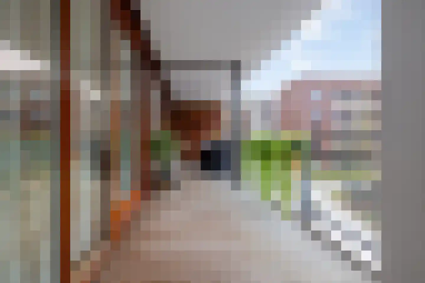Hoogstraat 257 Eindhoven thumbnail 41