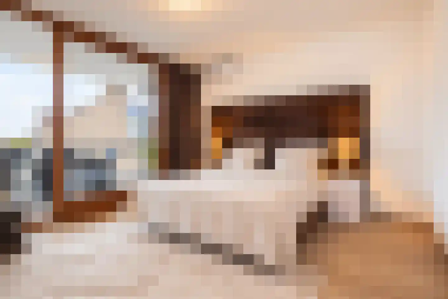 Hoogstraat 257 Eindhoven thumbnail 5