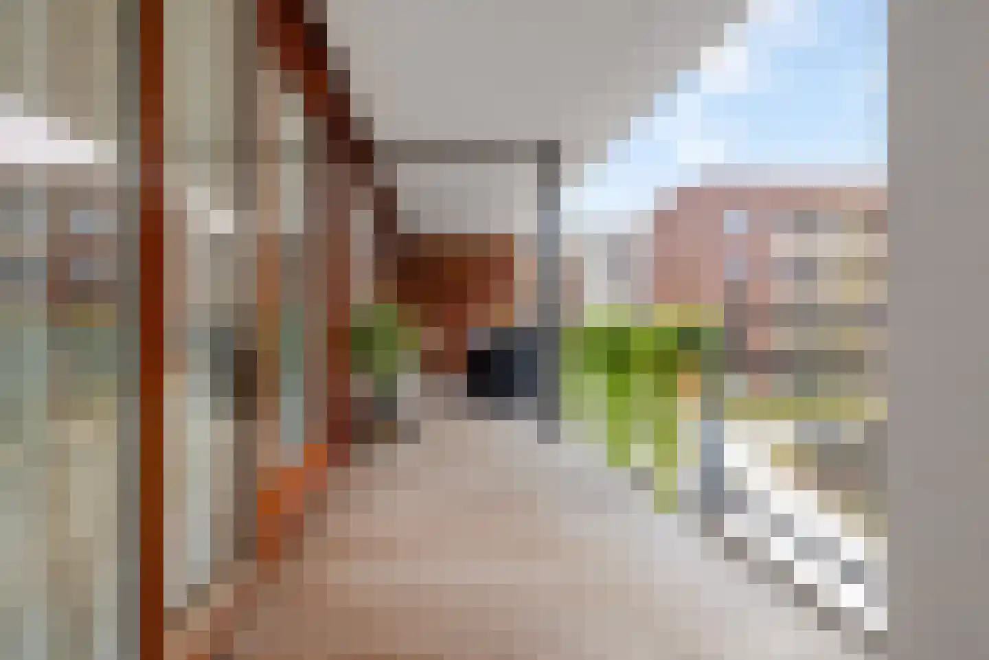 Hoogstraat 257 Eindhoven thumbnail 6