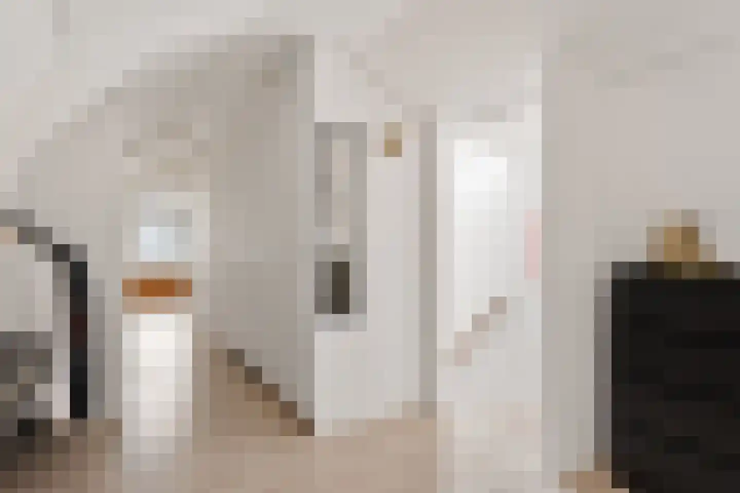 Hoogstraat 26 A Alkmaar thumbnail 29