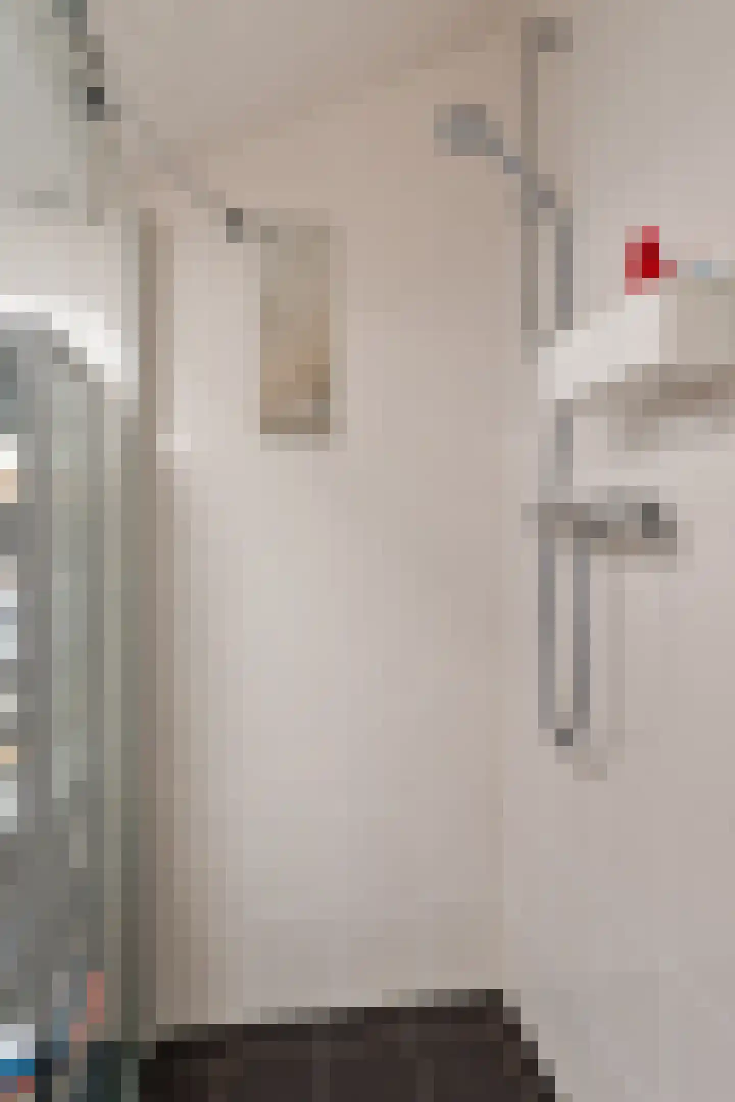 Hoogstraat 26 A Alkmaar thumbnail 30