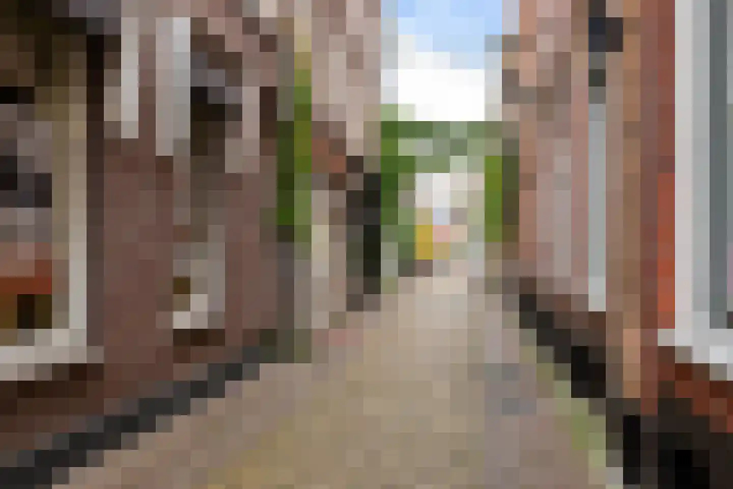 Hoogstraat 26 A Alkmaar thumbnail 9