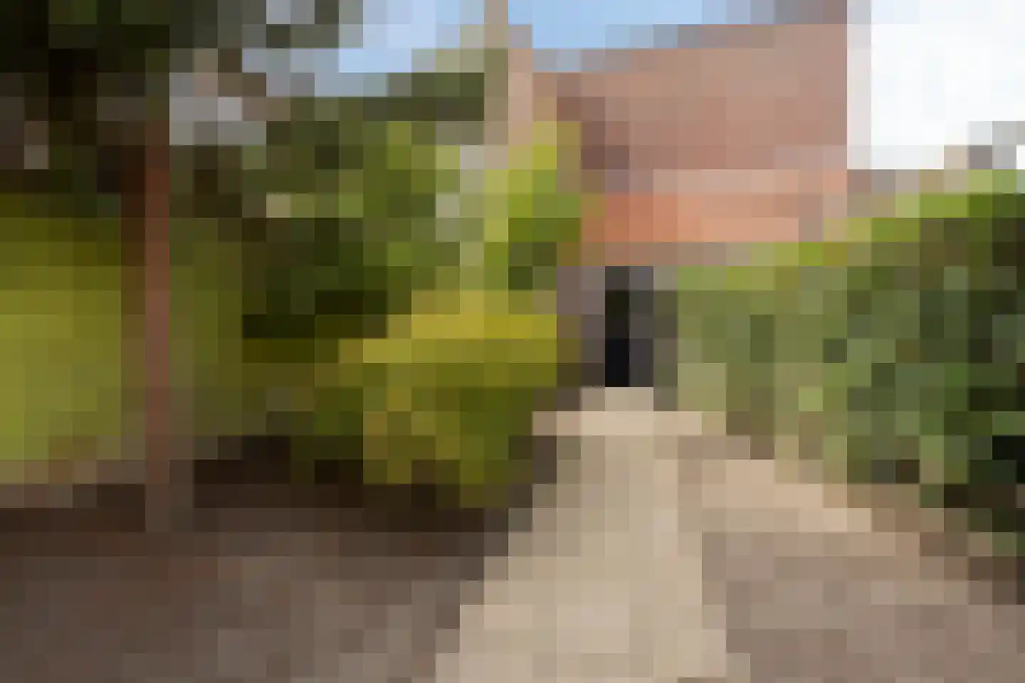 Hoogstraat 26 a Bergen op Zoom thumbnail 44