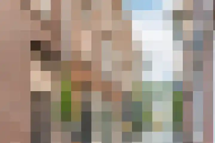 Hoogstraat 26 Alkmaar thumbnail 37