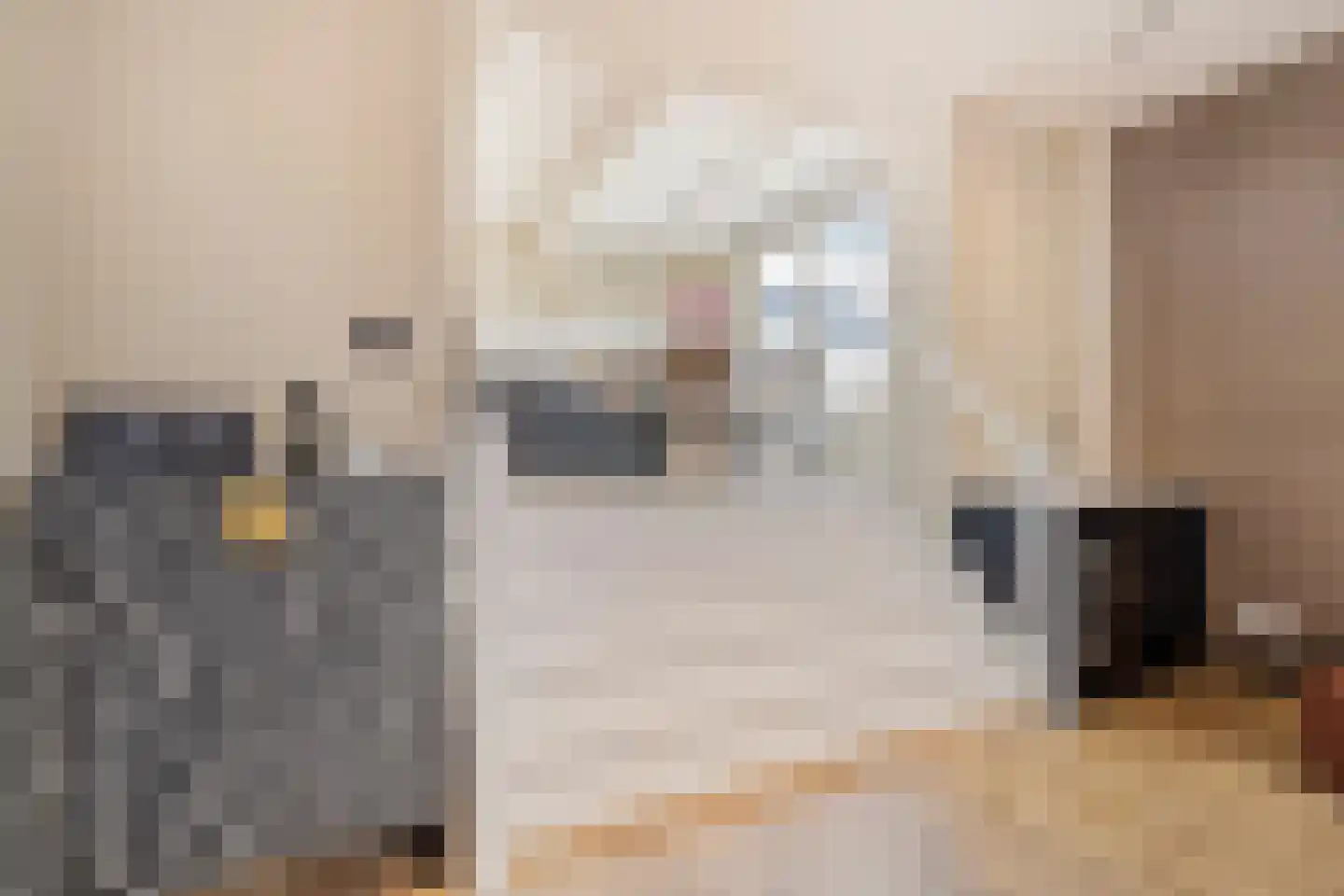 Hoogstraat 26 Alkmaar thumbnail 8