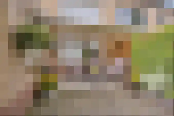 Hoogstraat 26 Deursen-Dennenburg thumbnail 31
