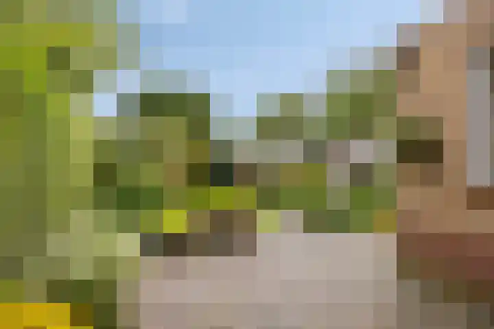 Hoogstraat 26 Deursen-Dennenburg thumbnail 32
