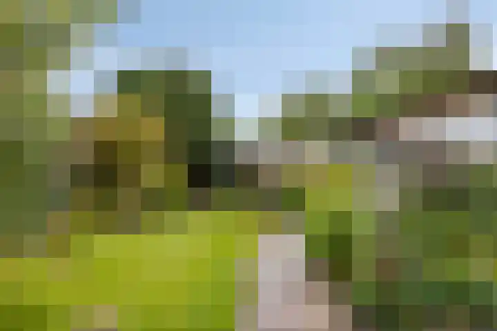 Hoogstraat 26 Deursen-Dennenburg thumbnail 33