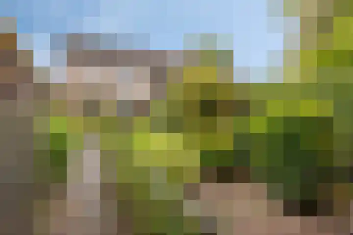 Hoogstraat 26 Deursen-Dennenburg thumbnail 34