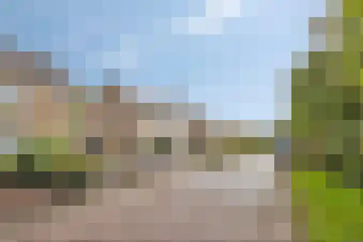 Hoogstraat 26 Deursen-Dennenburg thumbnail 38