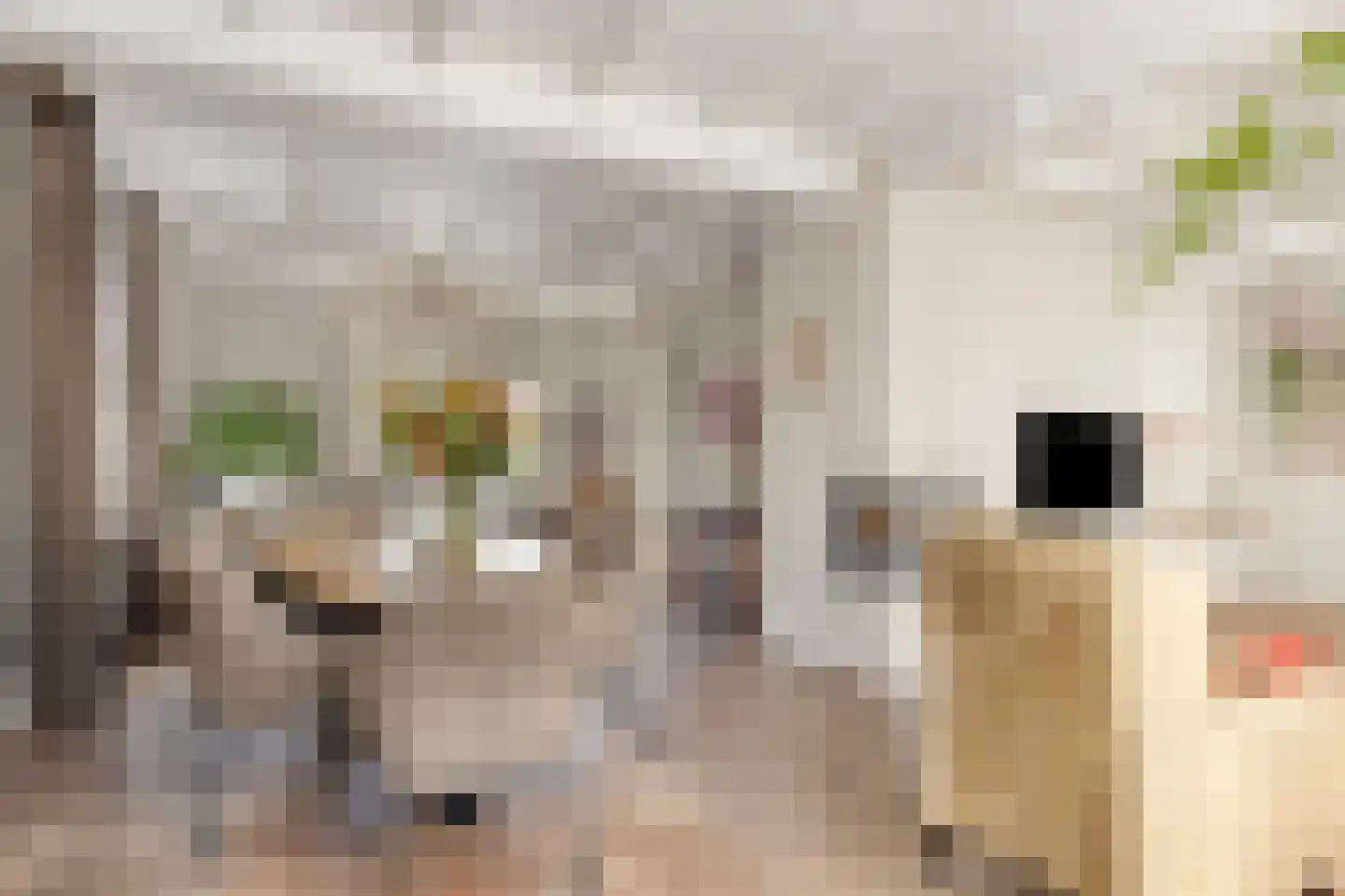 Hoogstraat 26 Mill thumbnail 21