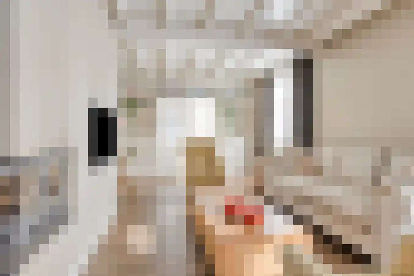 Hoogstraat 26 Mill thumbnail 22