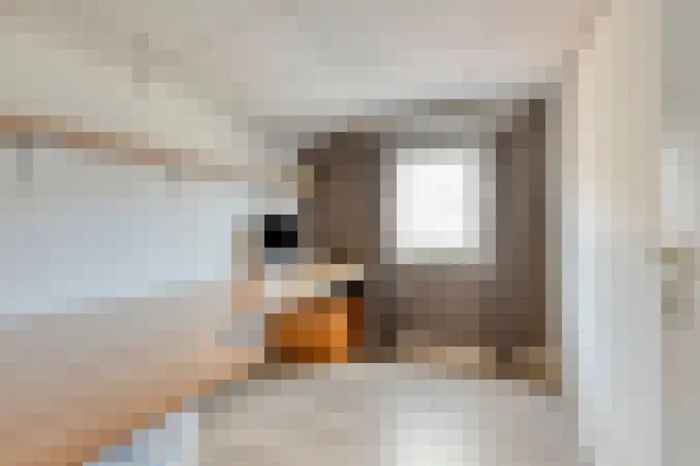 Hoogstraat 26 Mill thumbnail 45