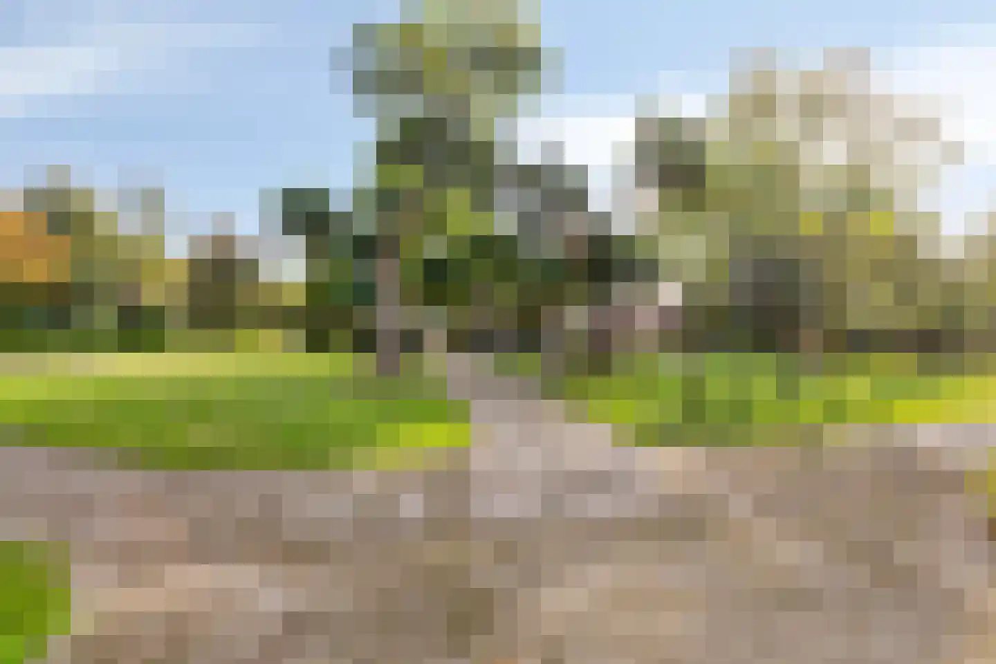 Hoogstraat 26 Mill thumbnail 54