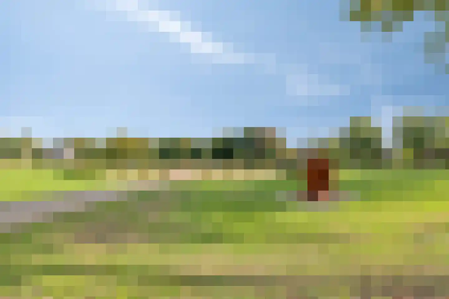 Hoogstraat 26 Mill thumbnail 55