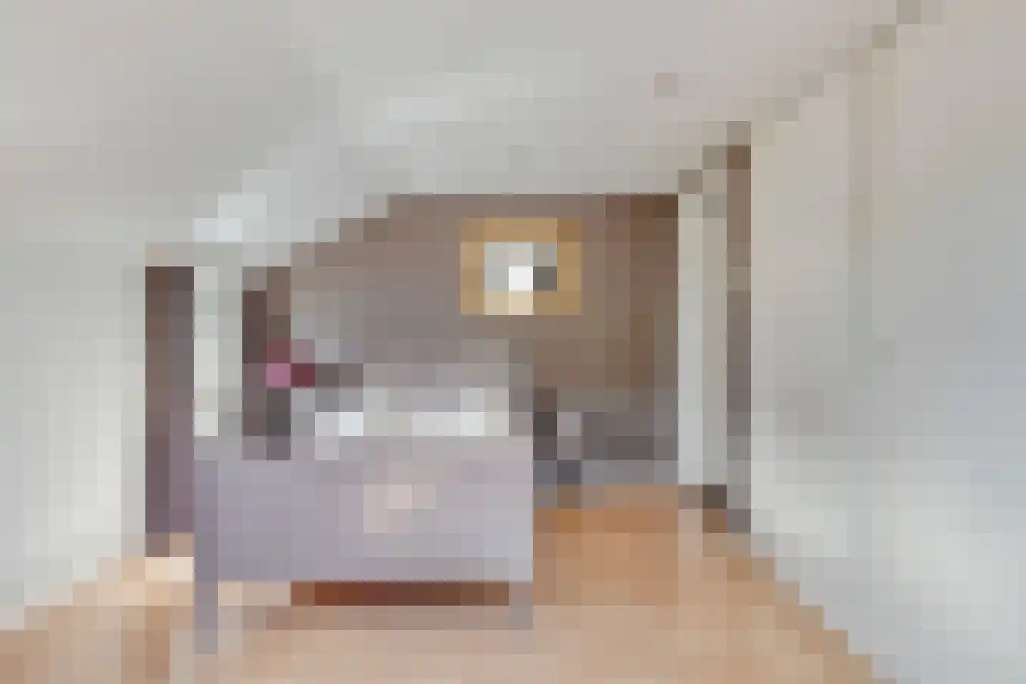 Hoogstraat 26 Mill thumbnail 9