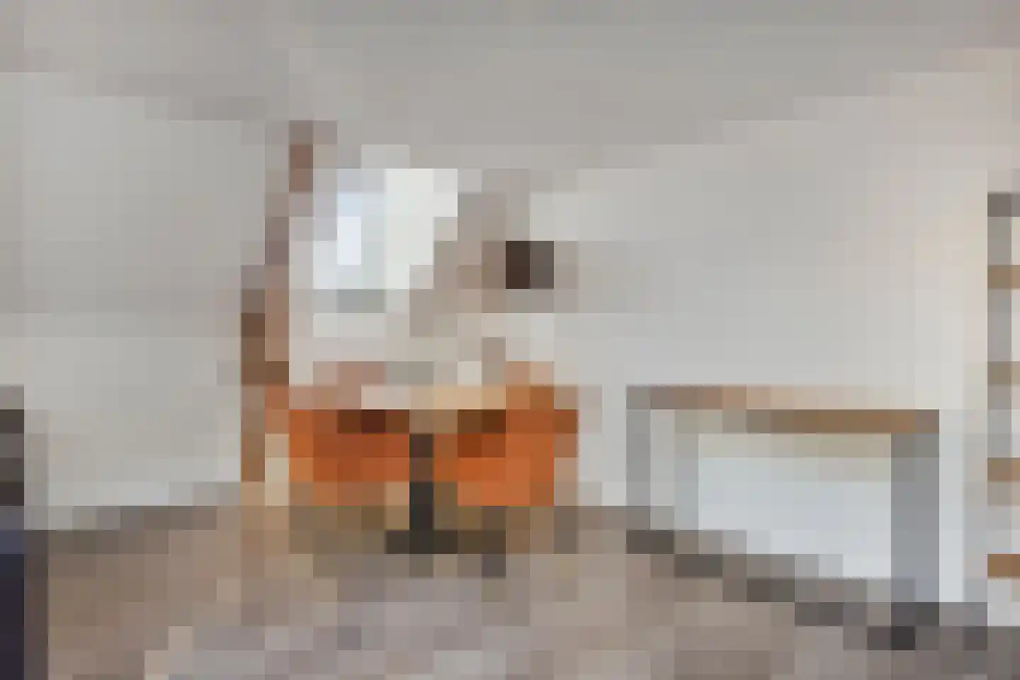 Hoogstraat 262 C Eindhoven thumbnail 13