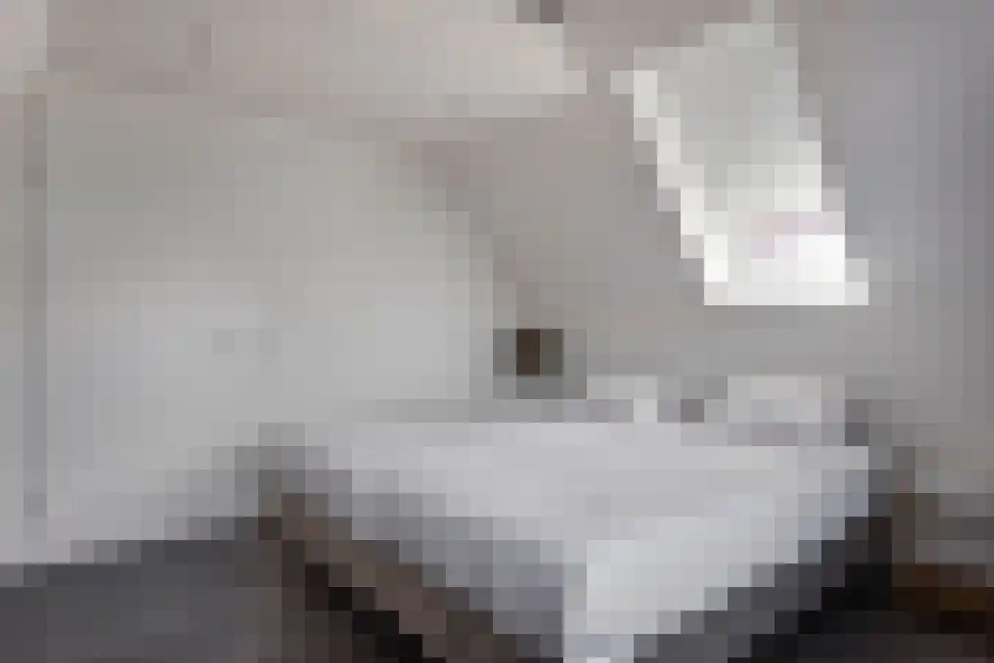 Hoogstraat 262 C Eindhoven thumbnail 20