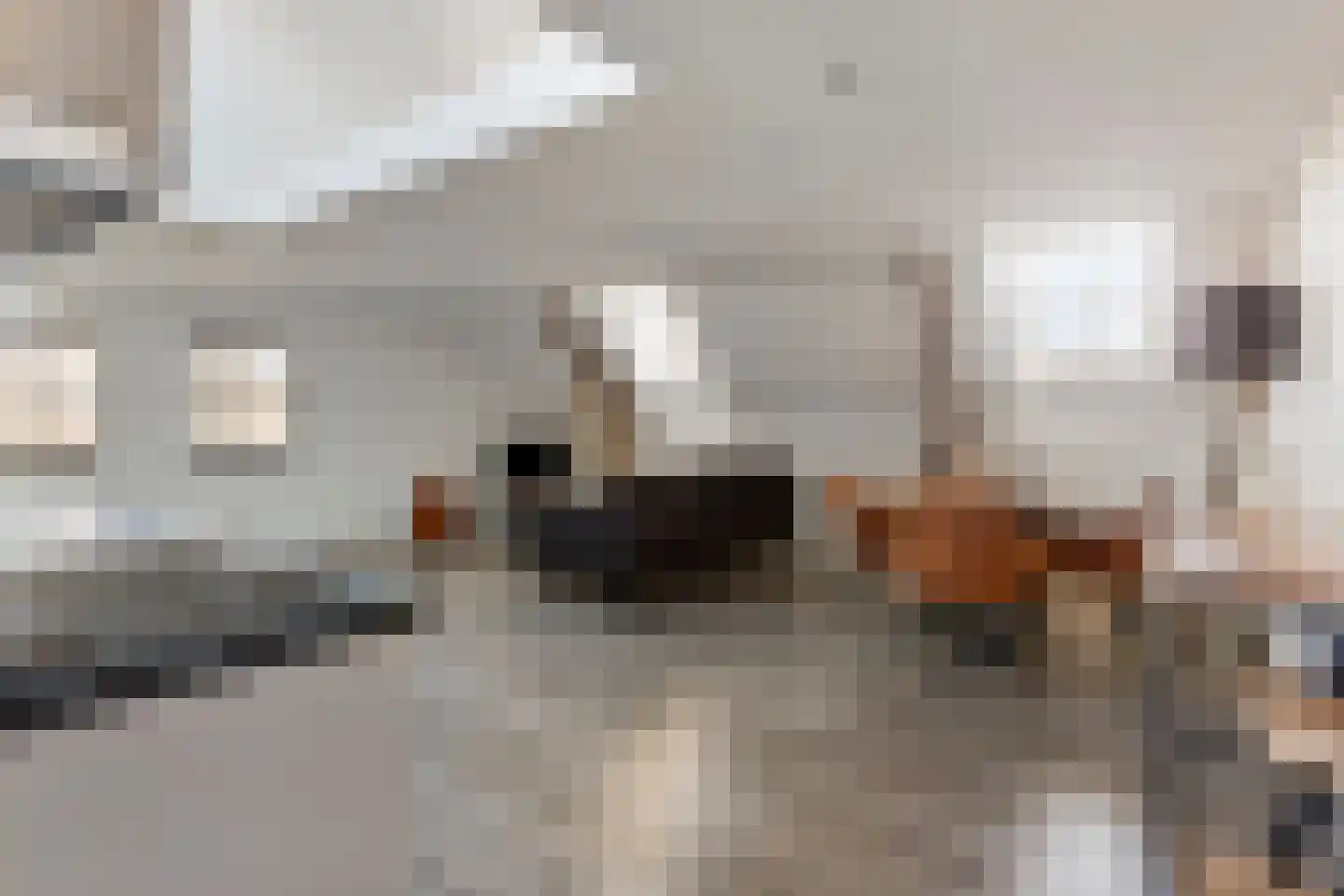 Hoogstraat 262 C Eindhoven thumbnail 9