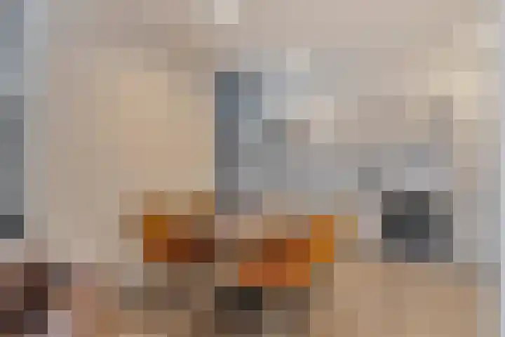 Hoogstraat 262 Eindhoven thumbnail 15