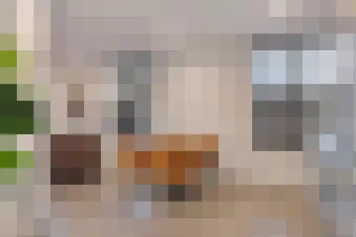 Hoogstraat 262 Eindhoven thumbnail 16