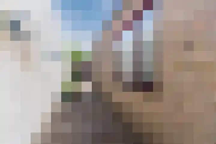 Hoogstraat 27 Goirle thumbnail 20
