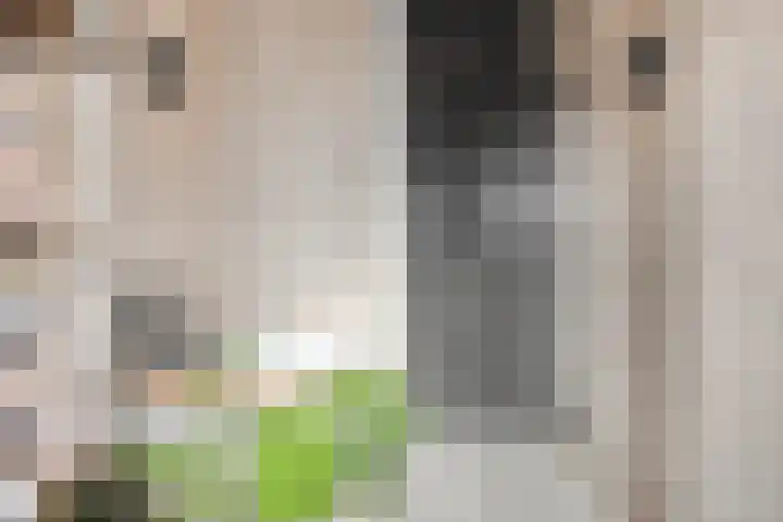 Hoogstraat 27 Hilversum thumbnail 12