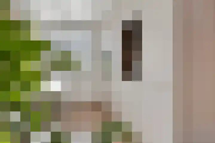 Hoogstraat 27 Hilversum thumbnail 9