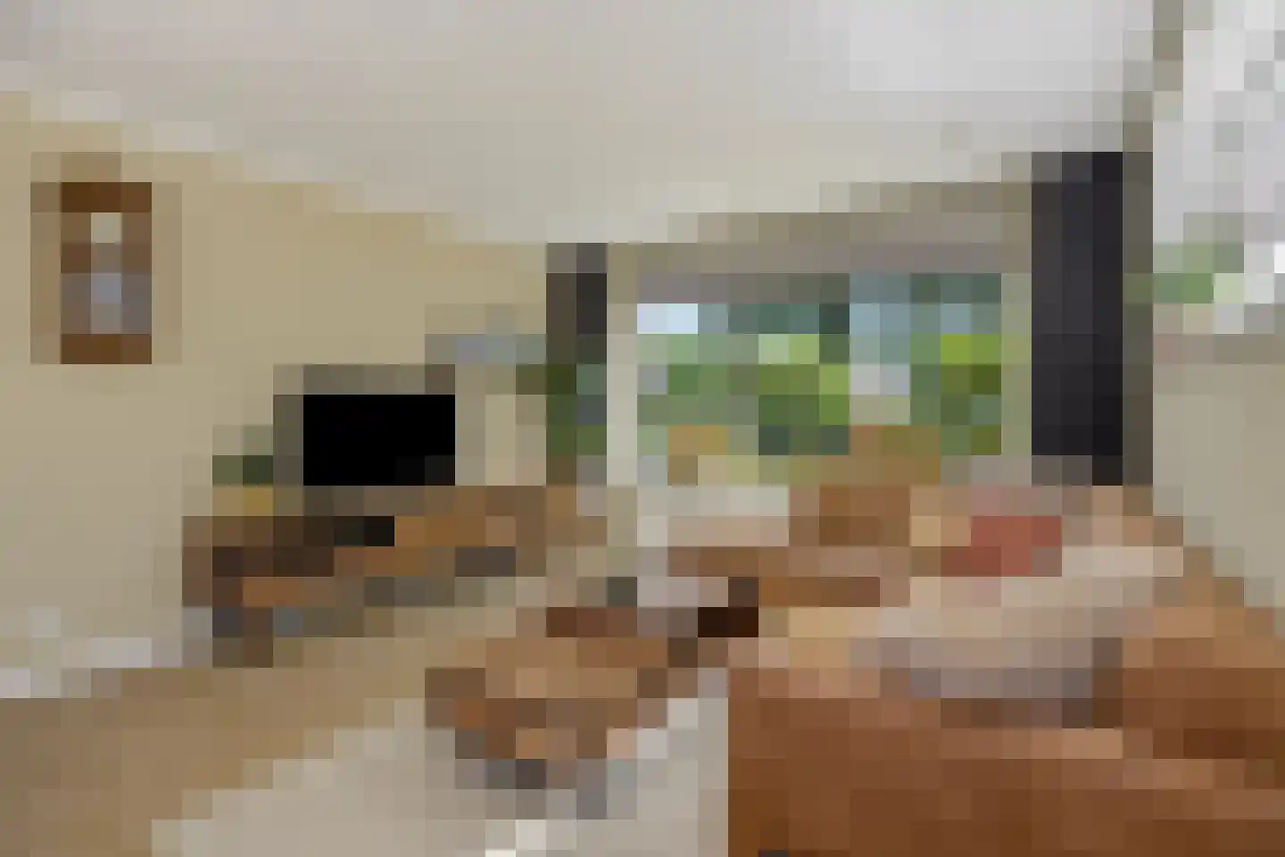 Hoogstraat 27 Nistelrode thumbnail 11