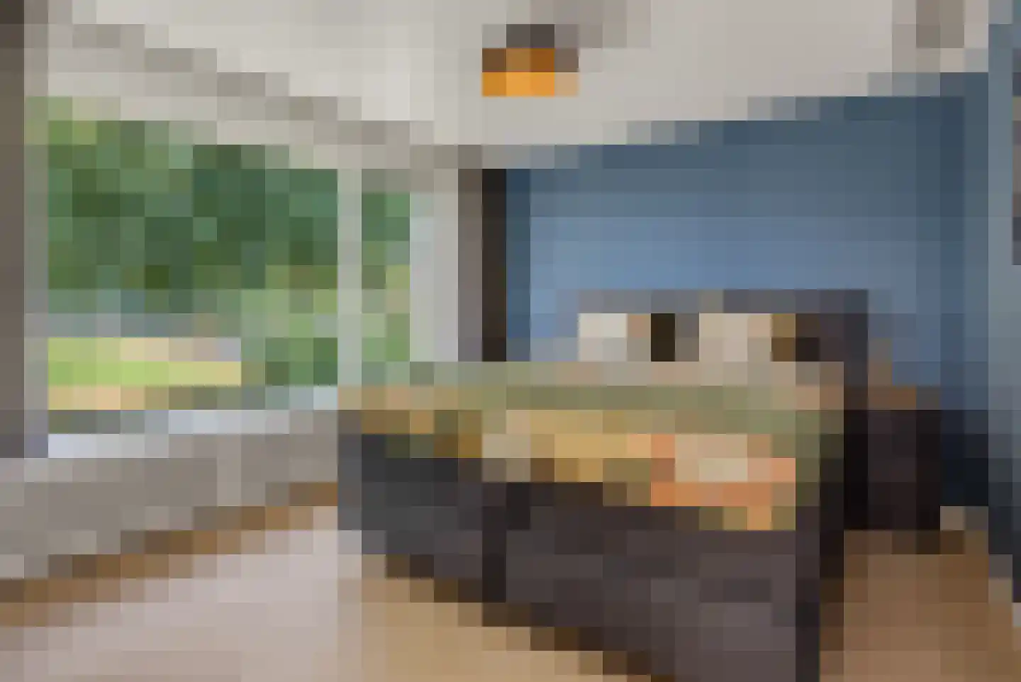 Hoogstraat 27 Nistelrode thumbnail 22