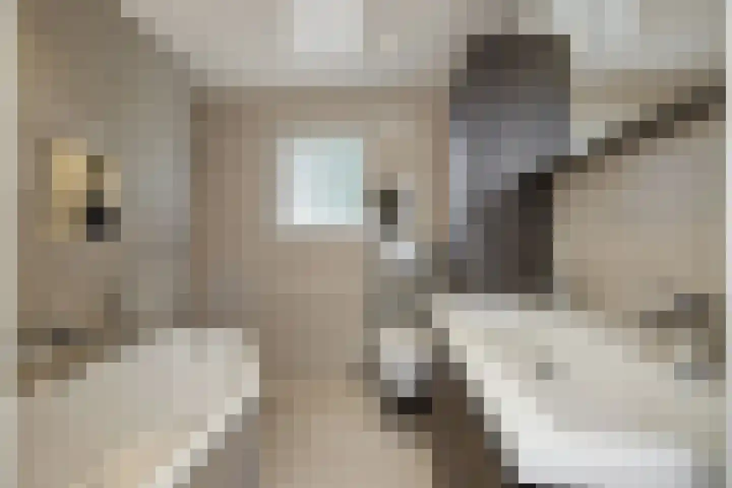 Hoogstraat 27 Nistelrode thumbnail 30