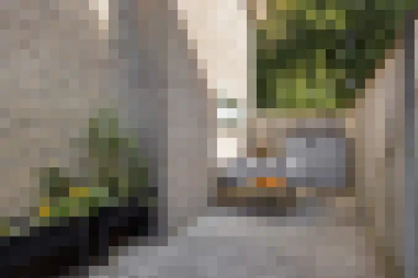 Hoogstraat 27 Nistelrode thumbnail 39