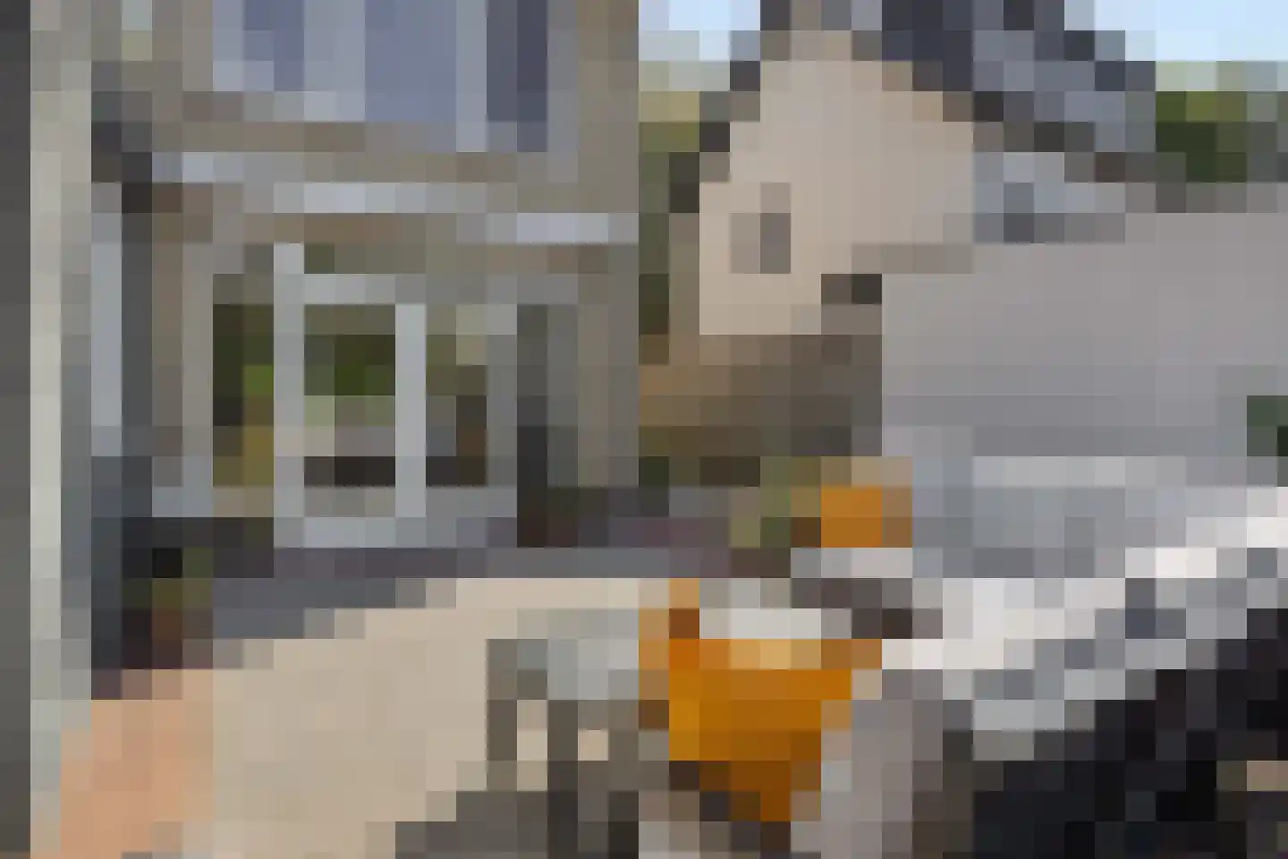 Hoogstraat 27 Nistelrode thumbnail 44
