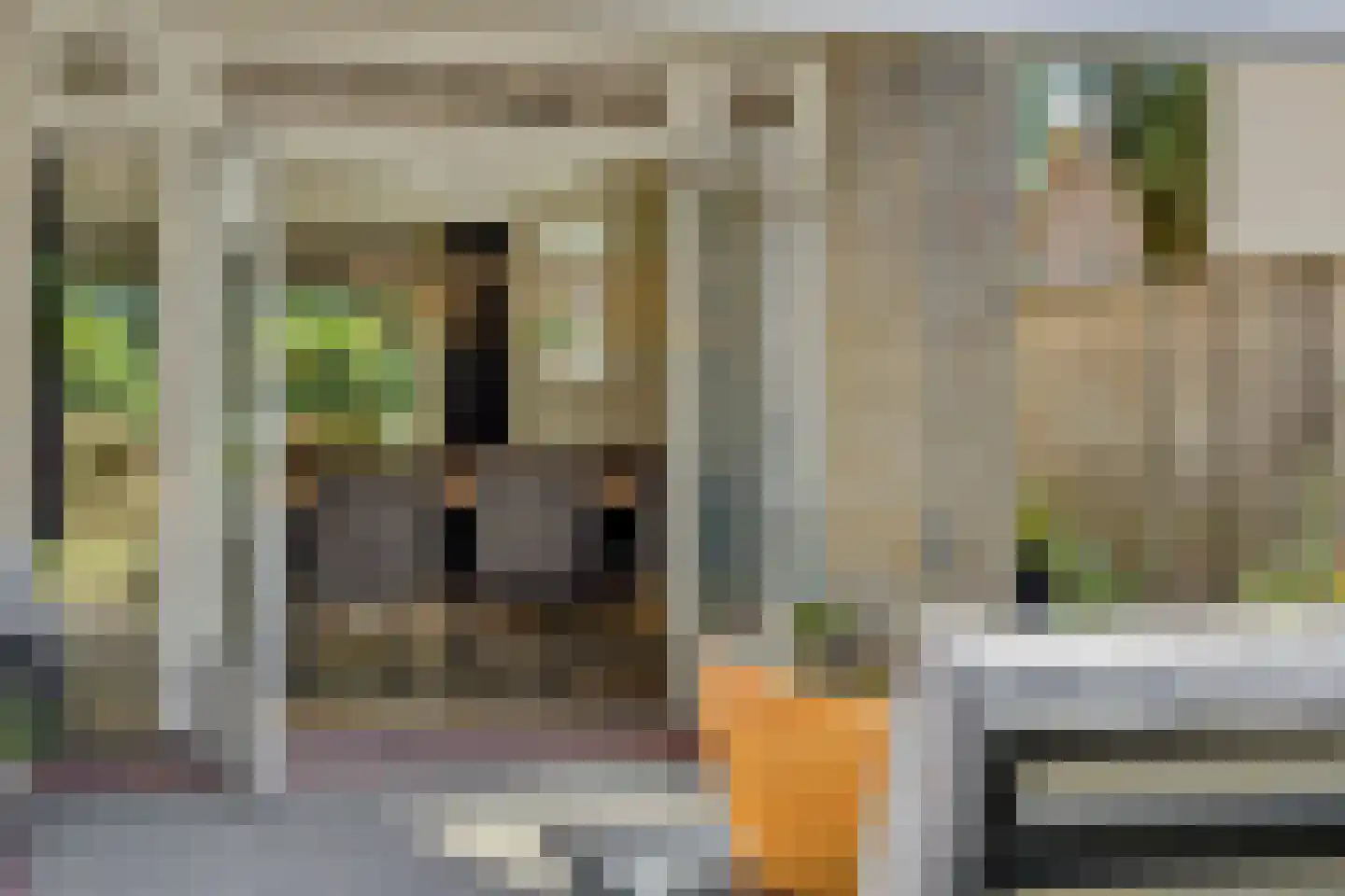 Hoogstraat 27 Nistelrode thumbnail 45