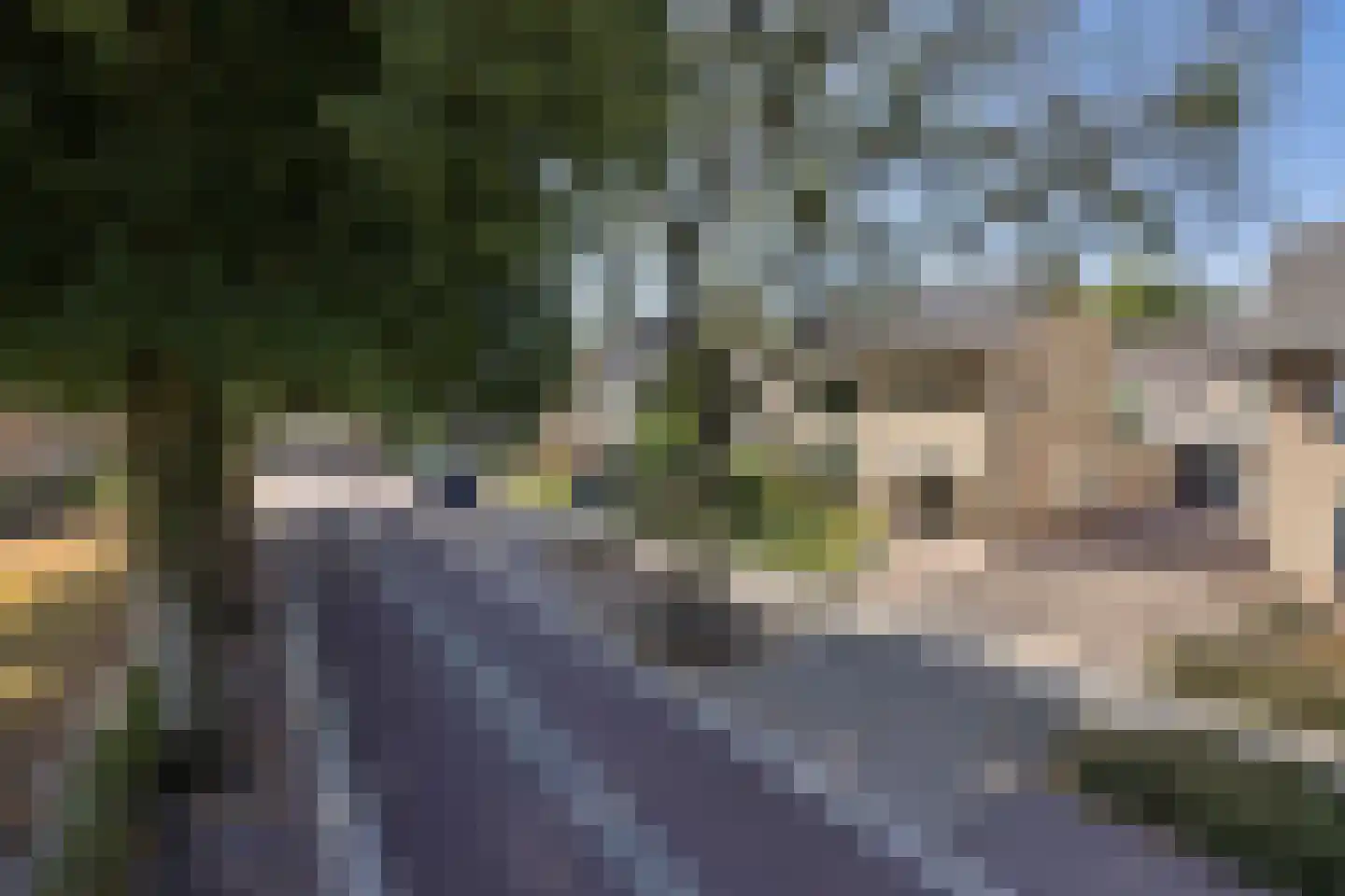 Hoogstraat 27 Nistelrode thumbnail 51