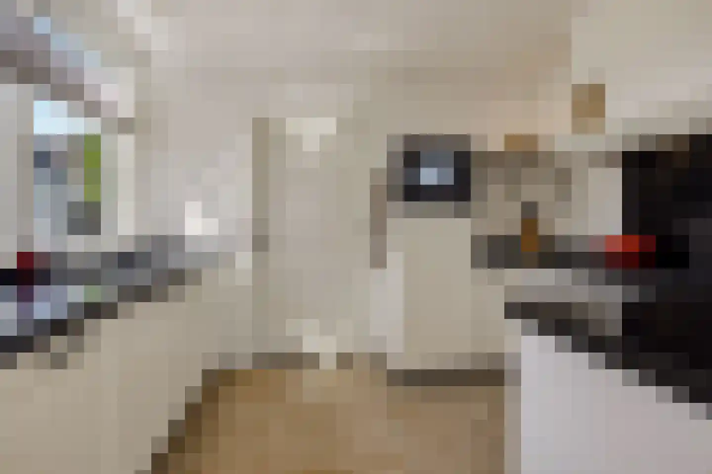 Hoogstraat 27 Nistelrode thumbnail 6